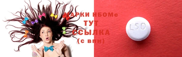 индика Ростов