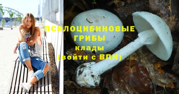 индика Ростов