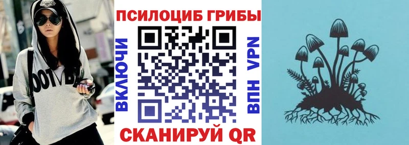 Галлюциногенные грибы Magic Shrooms  Купить  Шелехов 