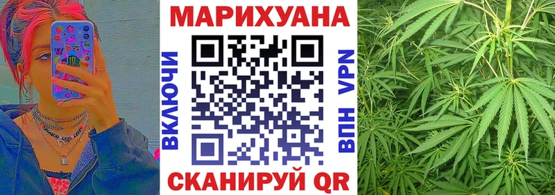 Купить  Шелехов  Каннабис OG Kush 